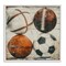 Stupell Industries Rustic Sports Balls Framed Giclee Wall Art Design by Lazar Studio